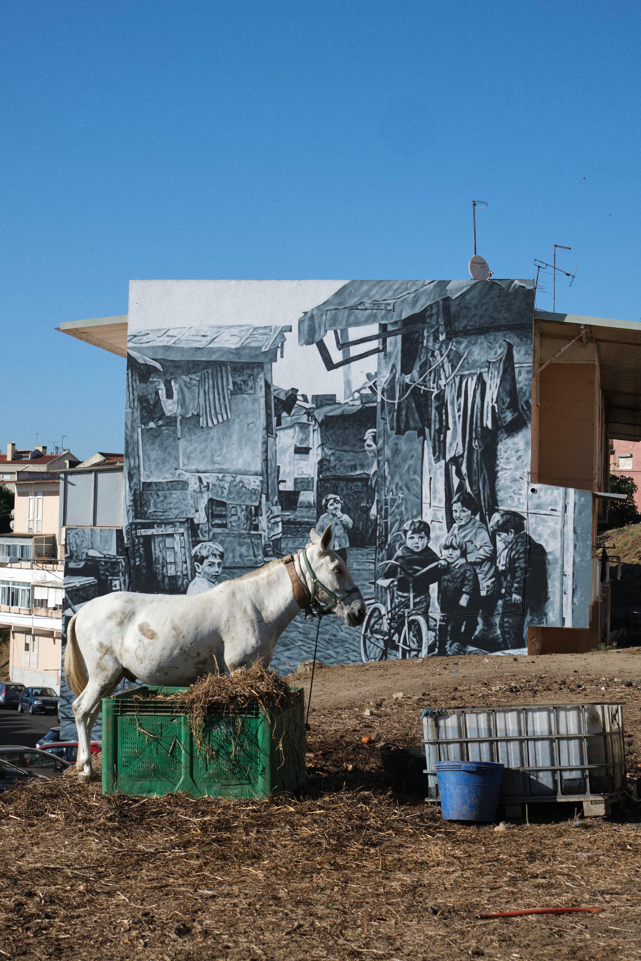 A white horse stands on a dirt area in front of a large mural depicting a black-and-white street scene with people and buildings. The sky is clear and blue