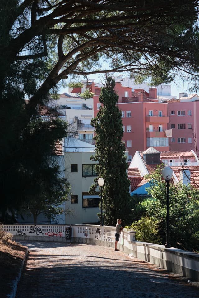 A person stands on a sunlit path lined with trees, overlooking a view of colorful buildings in the background