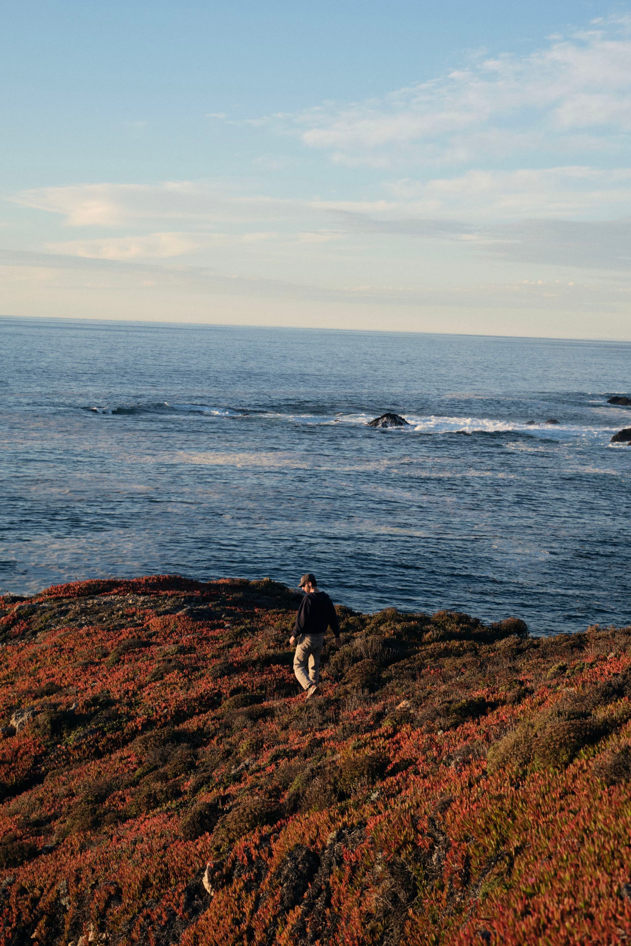 A person stands on a rocky, vegetation-covered coastline with the ocean and a partly cloudy sky in the background