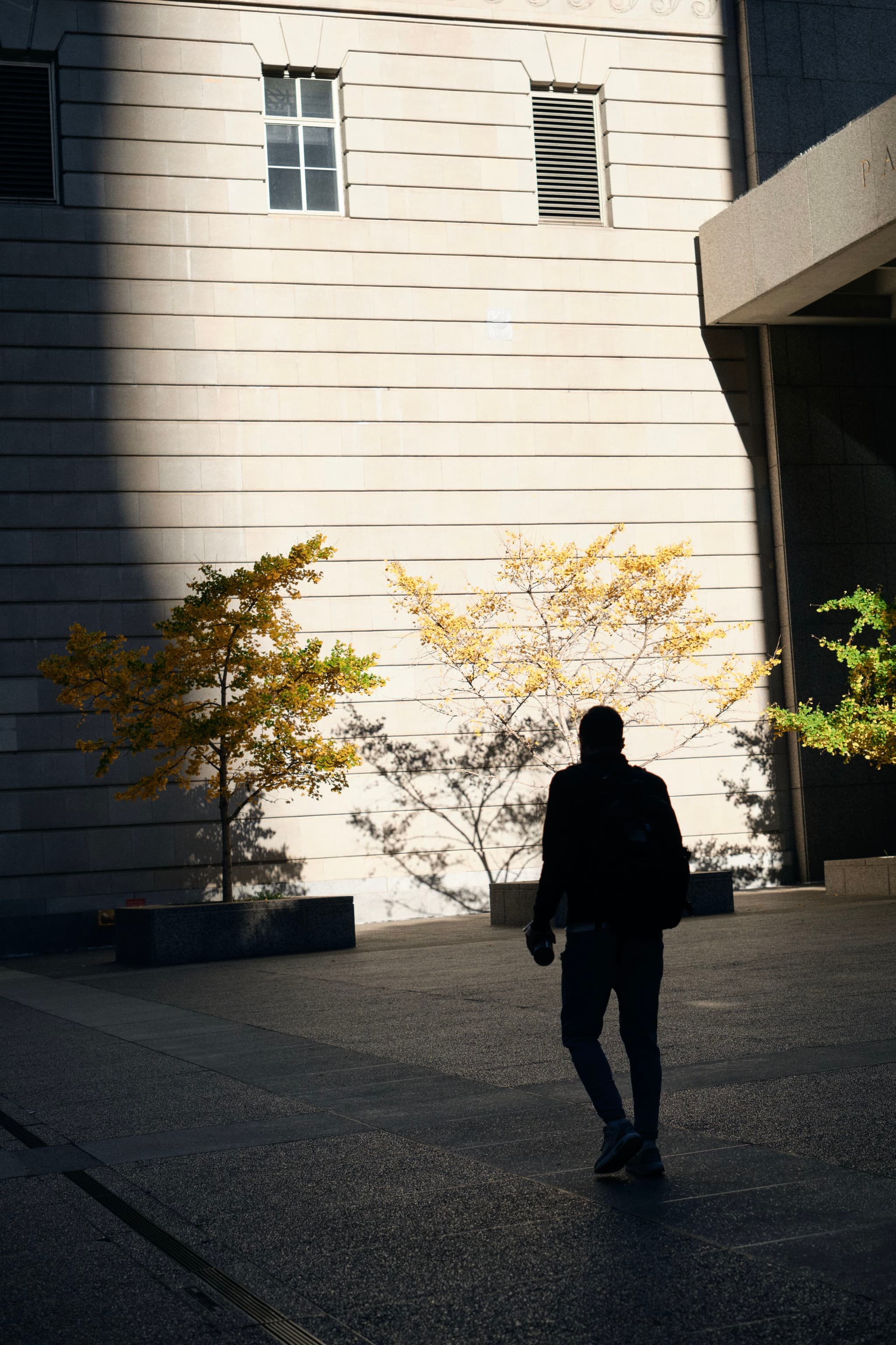 A person walking in front of a building with two small trees, casting a shadow on the ground
