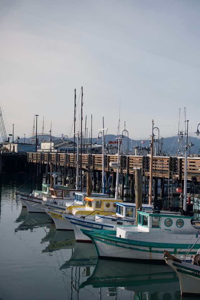 A row of colorful fishing boats is docked at a wooden pier, with calm water reflecting the boats and a hazy sky in the background