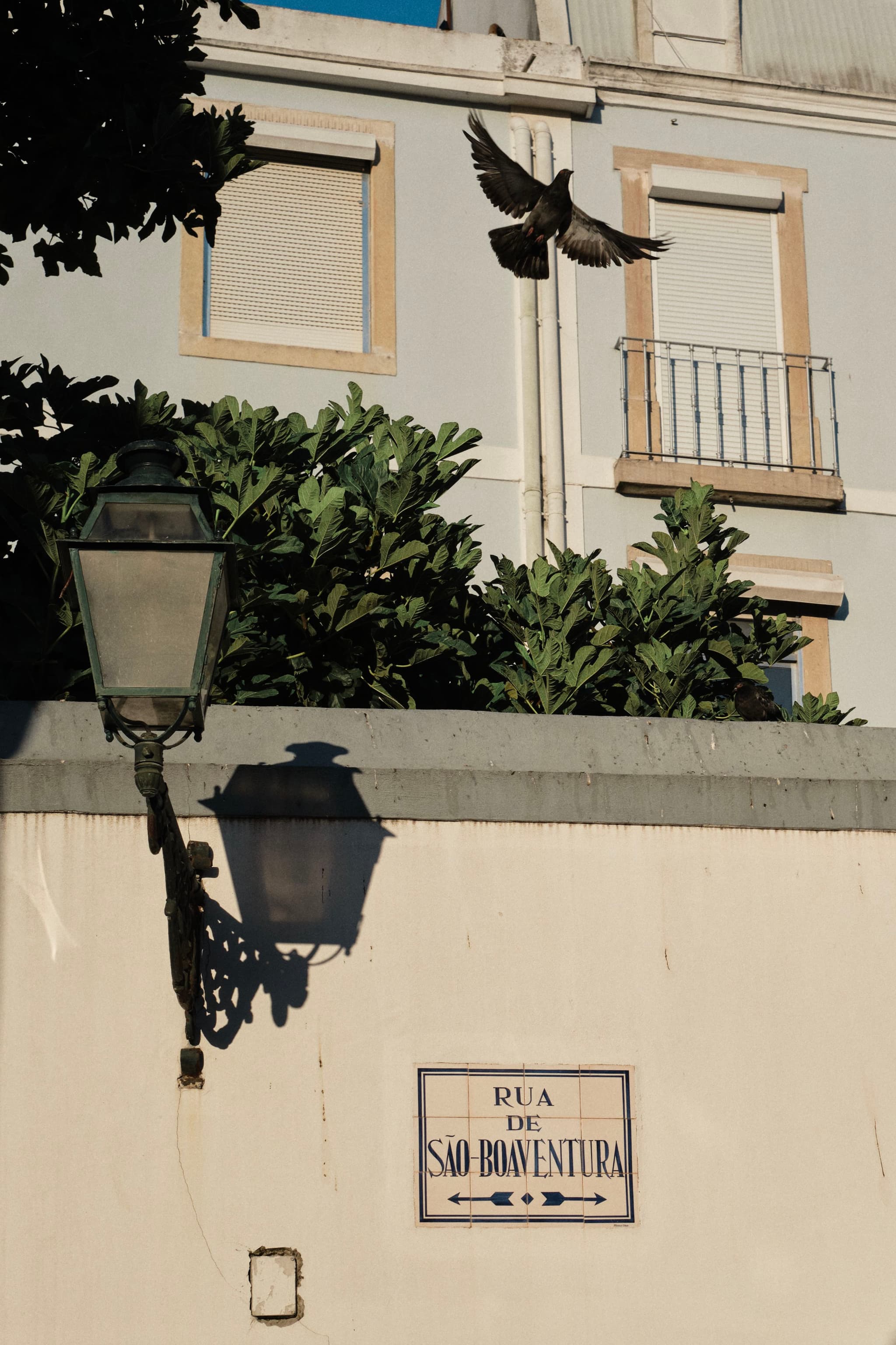 A street sign reading Rua de São Boaventura is mounted on a wall with a vintage lamp casting a shadow. A bird is flying near a building with closed shutters and a small balcony
