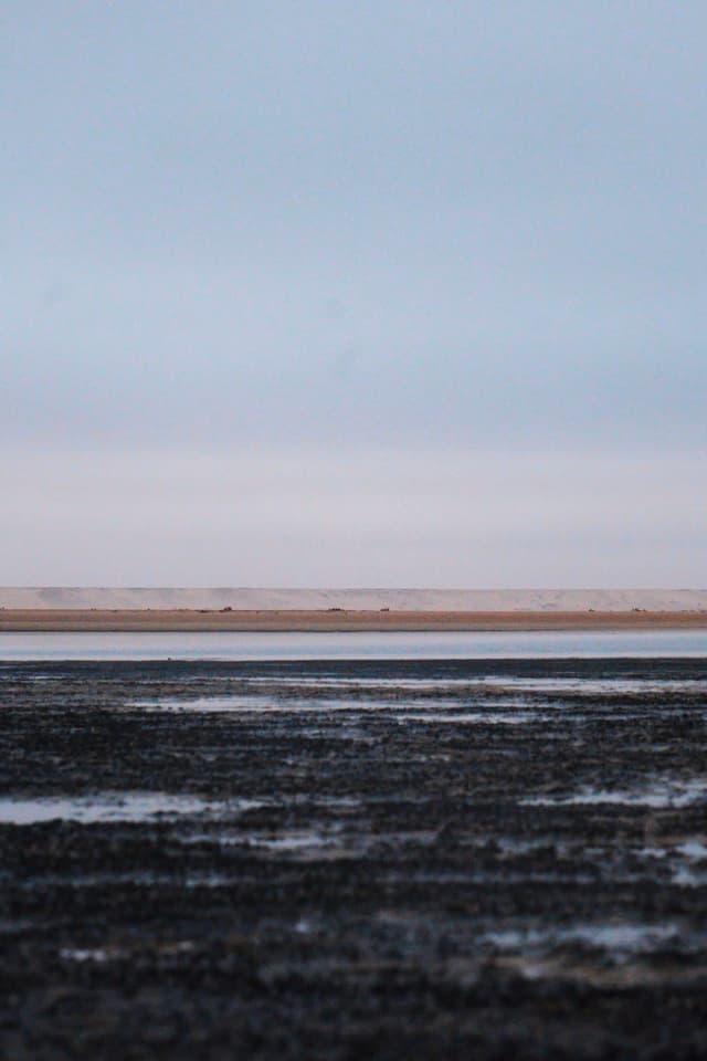 A serene coastal landscape with a dark, wet shoreline in the foreground, a calm body of water in the middle, and a sandy beach under a cloudy sky in the background
