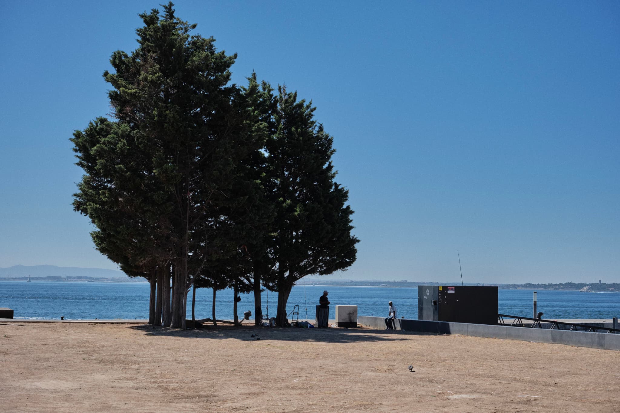 A group of trees stands near a waterfront with a clear blue sky. A few people are visible in the background, enjoying the scenery