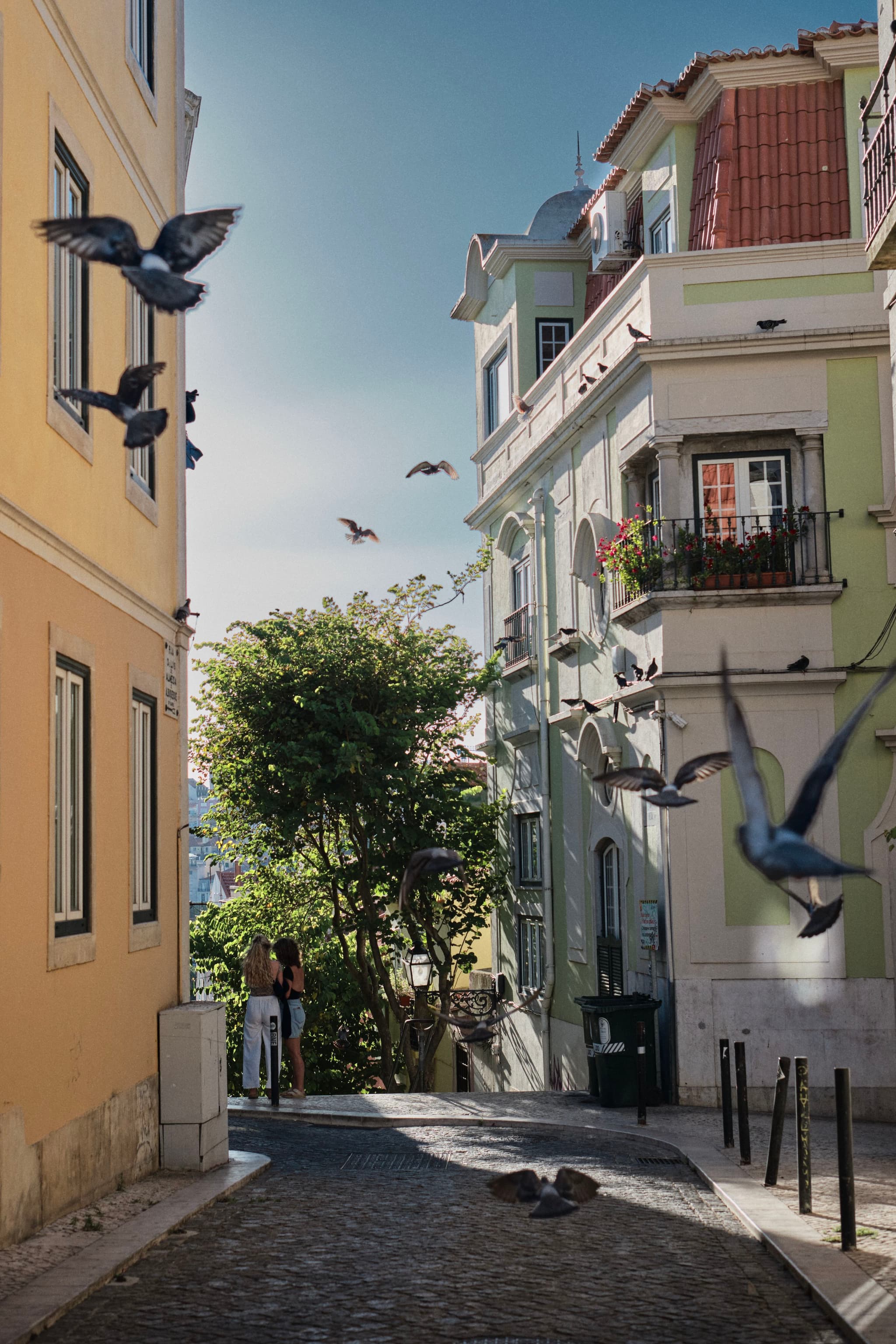 A narrow cobblestone street lined with colorful buildings, with pigeons flying overhead and a tree in the background