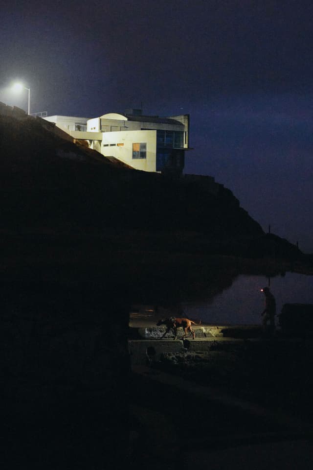 A dimly lit coastal scene at night with a modern building on a hill, illuminated by a streetlight, and a person walking a dog near the water