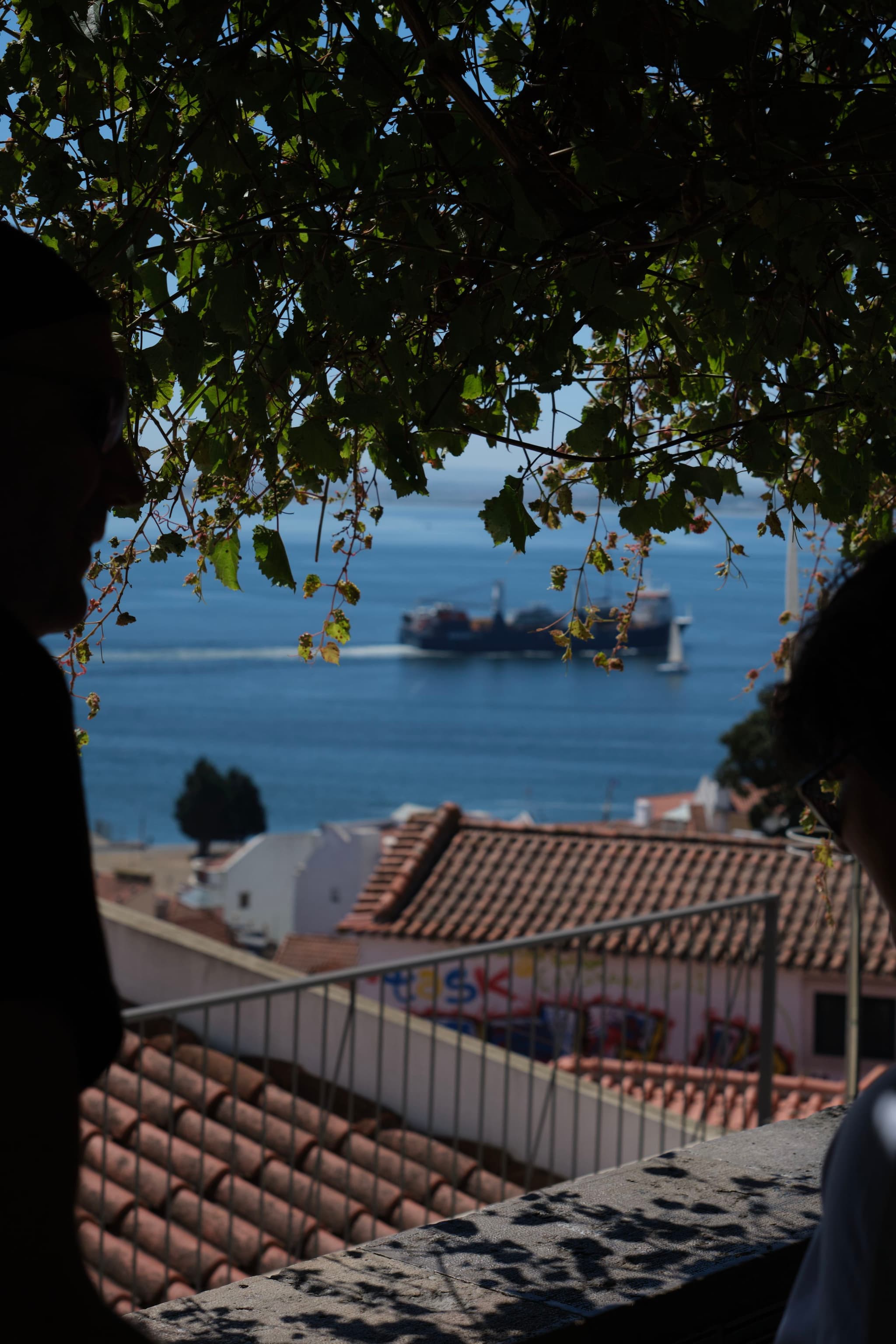 A view of a coastal scene with a large ship on the water, seen from behind a tree with hanging leaves. Rooftops of buildings are visible in the foreground, and two silhouetted figures are partially visible on either side